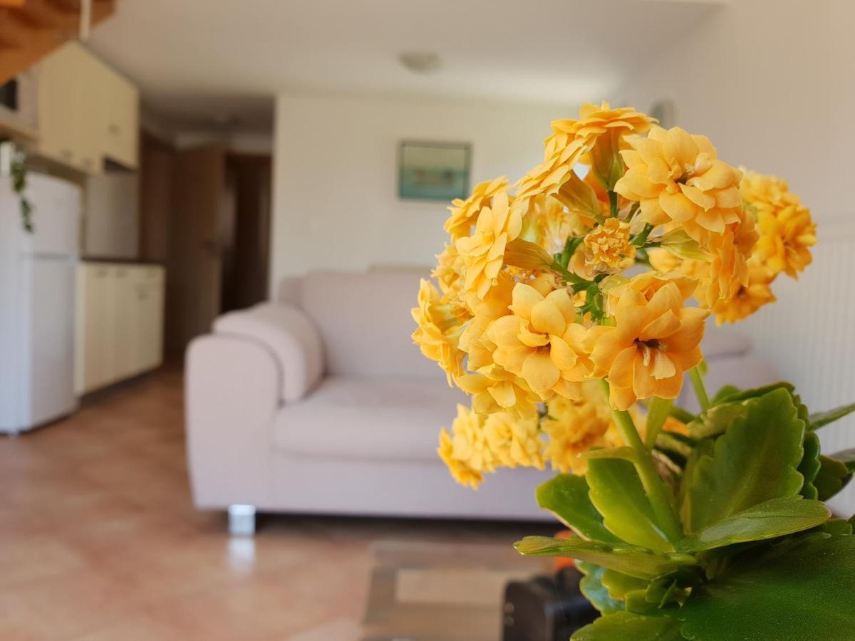 Apartments Skocic Vodice Bagian luar foto