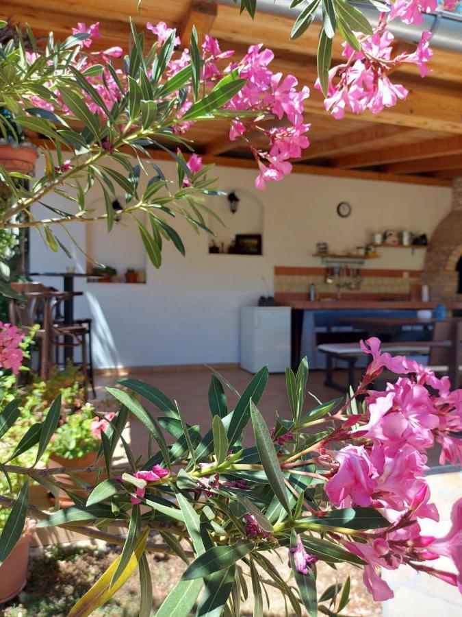 Apartments Skocic Vodice Bagian luar foto